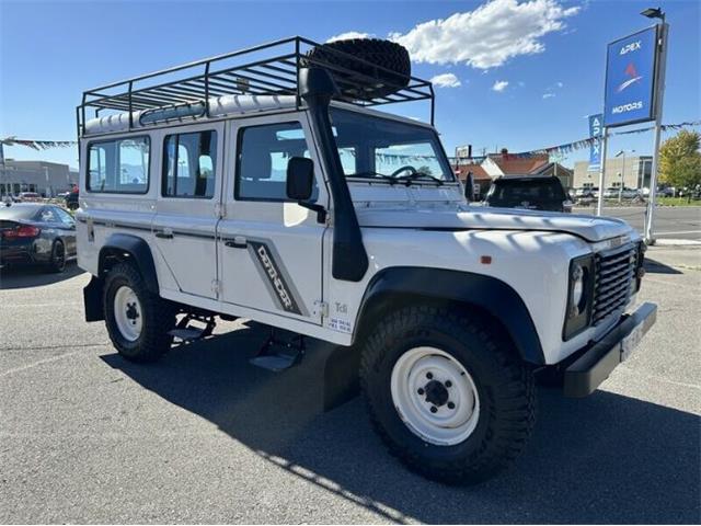 1996 Land Rover Defender 110 (CC-1858561) for sale in Cadillac, Michigan