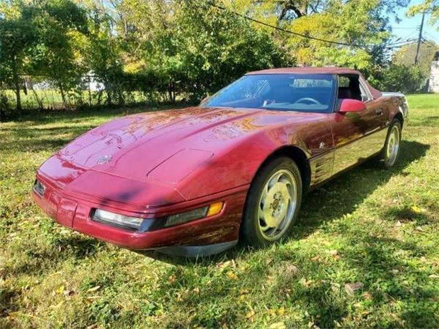 1993 Chevrolet Corvette (CC-1858582) for sale in Cadillac, Michigan