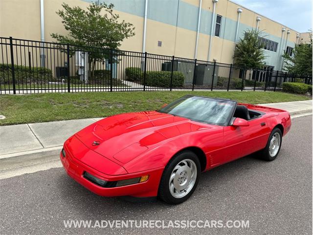 1995 Chevrolet Corvette (CC-1858728) for sale in Clearwater, Florida