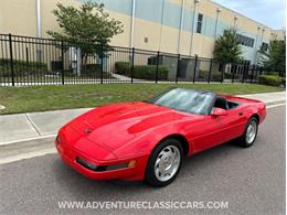 1995 Chevrolet Corvette (CC-1858728) for sale in Clearwater, Florida