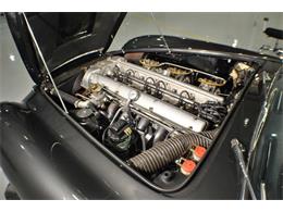 1966 Aston Martin DB6 (CC-1850883) for sale in Charlotte, North Carolina