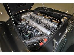 1966 Aston Martin DB6 (CC-1850883) for sale in Charlotte, North Carolina