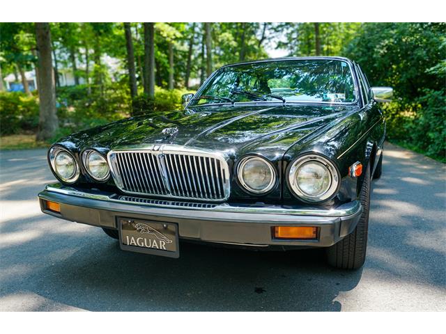 1985 Jaguar XJ6 (CC-1858909) for sale in Fairfax, Virginia