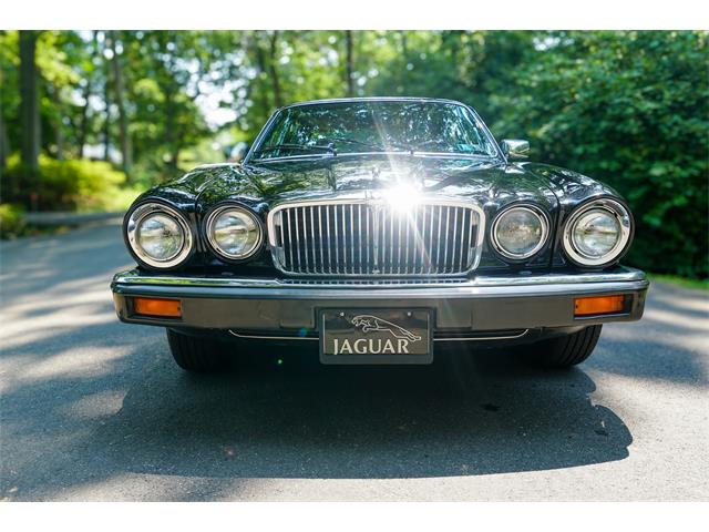 1985 Jaguar XJ6 (CC-1858909) for sale in Fairfax, Virginia