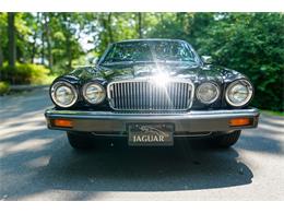 1985 Jaguar XJ6 (CC-1858909) for sale in Fairfax, Virginia