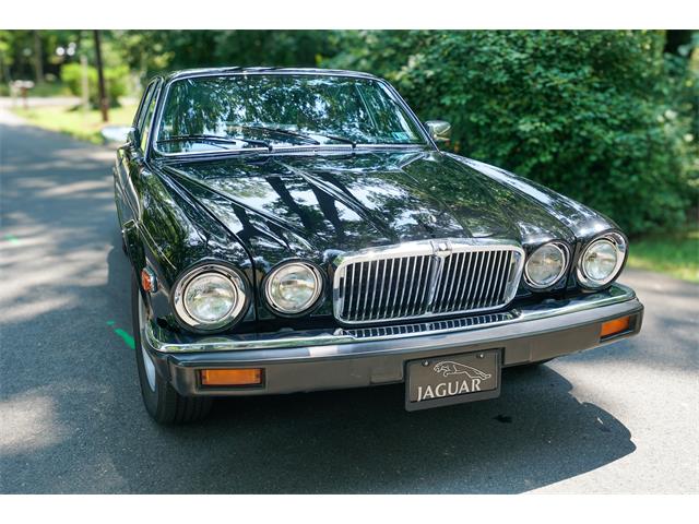 1985 Jaguar XJ6 (CC-1858909) for sale in Fairfax, Virginia