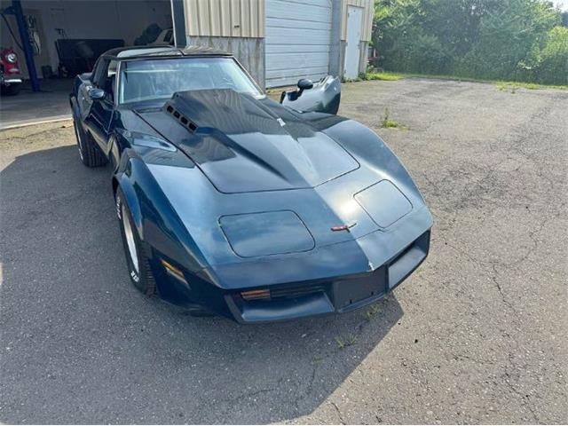 1981 Chevrolet Corvette (CC-1858999) for sale in Cadillac, Michigan