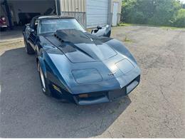 1981 Chevrolet Corvette (CC-1858999) for sale in Cadillac, Michigan