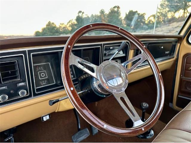 1974 Ford F250 (CC-1859001) for sale in Cadillac, Michigan