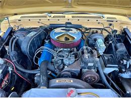 1974 Ford F250 (CC-1859001) for sale in Cadillac, Michigan