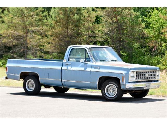 1980 GMC 1500 (CC-1859021) for sale in Cadillac, Michigan