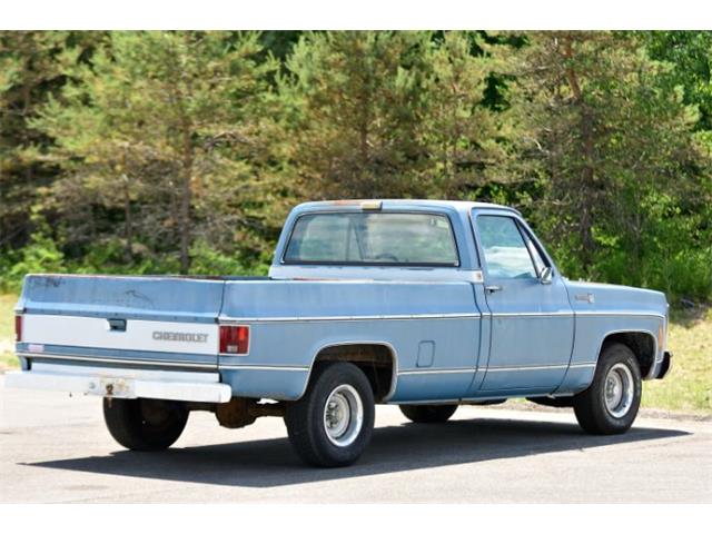 1980 GMC 1500 (CC-1859021) for sale in Cadillac, Michigan