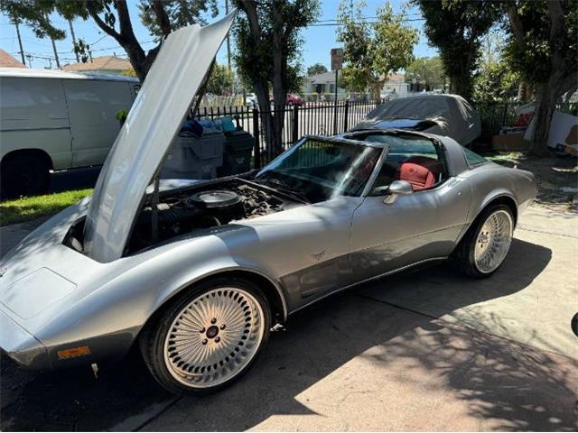 1978 Chevrolet Corvette (CC-1859350) for sale in Cadillac, Michigan