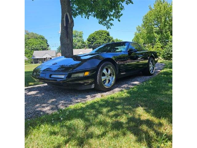 1993 Chevrolet Corvette (CC-1859792) for sale in Cadillac, Michigan