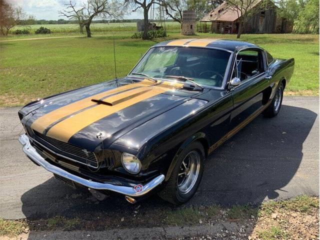 1966 Shelby GT350 (CC-1861069) for sale in Fredericksburg, Texas