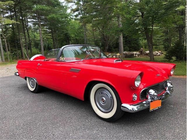 1956 Ford Thunderbird (CC-1861411) for sale in Malone, New York