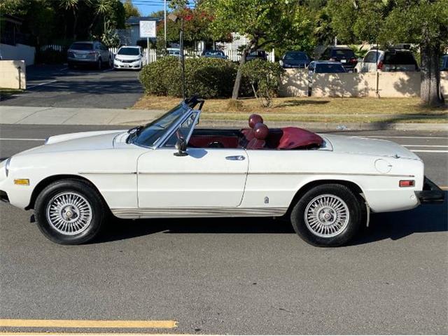 1978 Alfa Romeo Spider (CC-1861526) for sale in Cadillac, Michigan