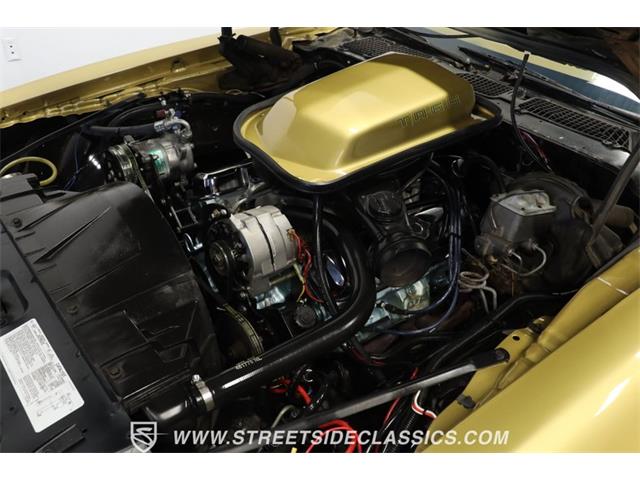 1978 Pontiac Firebird (CC-1860156) for sale in Lutz, Florida