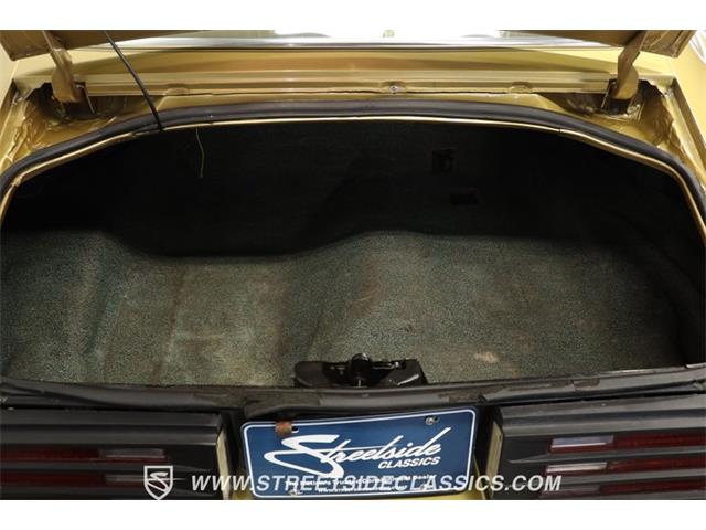 1978 Pontiac Firebird (CC-1860156) for sale in Lutz, Florida