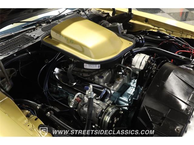 1978 Pontiac Firebird (CC-1860156) for sale in Lutz, Florida