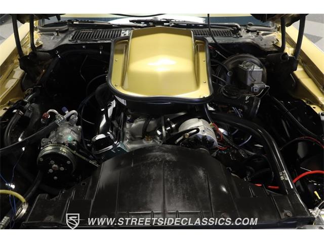 1978 Pontiac Firebird (CC-1860156) for sale in Lutz, Florida