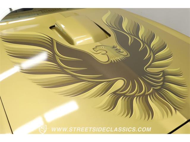 1978 Pontiac Firebird (CC-1860156) for sale in Lutz, Florida