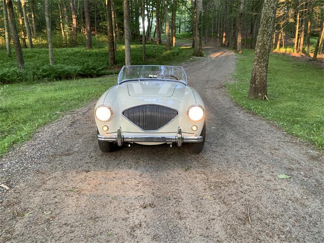 1956 Austin-Healey 100M (CC-1861811) for sale in Brookfield, Connecticut