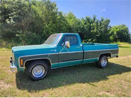 1978 Chevrolet Silverado (CC-1862209) for sale in Cadillac, Michigan