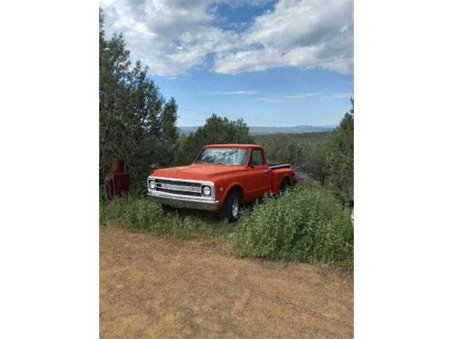 1969 Chevrolet C10 (CC-1862216) for sale in Cadillac, Michigan