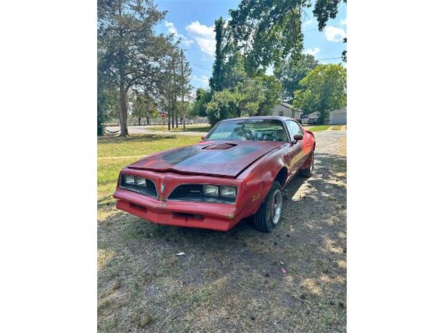 1977 Pontiac Firebird Trans Am (CC-1862633) for sale in Cadillac, Michigan