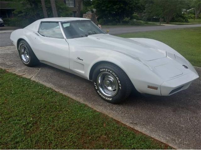 1974 Chevrolet Corvette (CC-1862653) for sale in Cadillac, Michigan