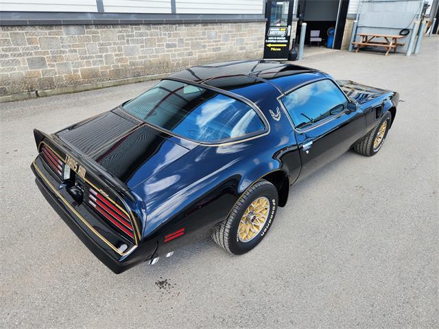1977 Pontiac Firebird Trans Am (CC-1862899) for sale in Vaudreuil-Dorion, Quebec