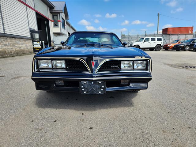 1977 Pontiac Firebird Trans Am (CC-1862899) for sale in Vaudreuil-Dorion, Quebec