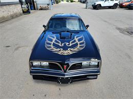 1977 Pontiac Firebird Trans Am (CC-1862899) for sale in Vaudreuil-Dorion, Quebec