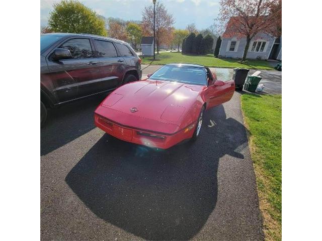 1984 Chevrolet Corvette (CC-1862993) for sale in Cadillac, Michigan