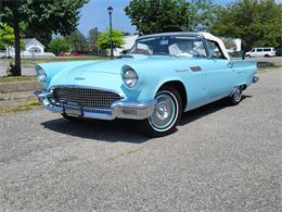 1957 Ford Thunderbird (CC-1863033) for sale in Hilton, New York