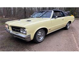 1964 Pontiac GTO (CC-1863181) for sale in Annandale, Minnesota