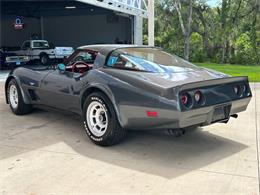1979 Chevrolet Corvette (CC-1863431) for sale in Palmetto, Florida