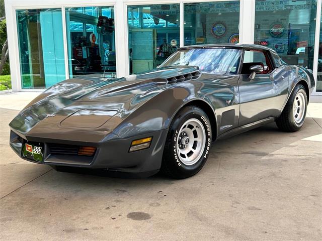 1979 Chevrolet Corvette (CC-1863431) for sale in Palmetto, Florida