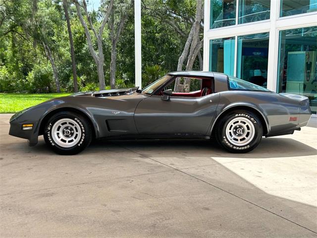1979 Chevrolet Corvette (CC-1863431) for sale in Palmetto, Florida