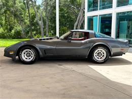 1979 Chevrolet Corvette (CC-1863431) for sale in Palmetto, Florida