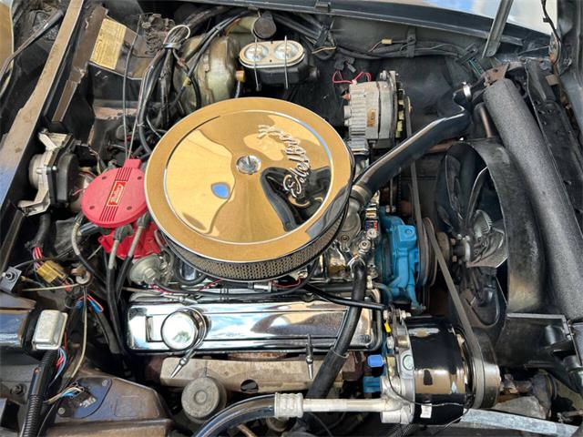 1979 Chevrolet Corvette (CC-1863431) for sale in Palmetto, Florida