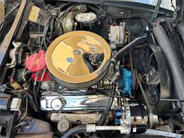 1979 Chevrolet Corvette (CC-1863431) for sale in Palmetto, Florida
