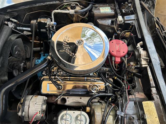 1979 Chevrolet Corvette (CC-1863431) for sale in Palmetto, Florida