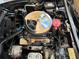 1979 Chevrolet Corvette (CC-1863431) for sale in Palmetto, Florida