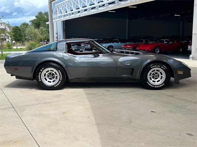 1979 Chevrolet Corvette (CC-1863431) for sale in Palmetto, Florida
