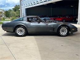 1979 Chevrolet Corvette (CC-1863431) for sale in Palmetto, Florida
