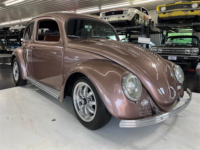 1957 Volkswagen Beetle (CC-1863639) for sale in north canton, Ohio