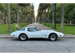 1979 Chevrolet Corvette (CC-1863874) for sale in Savannah, Georgia