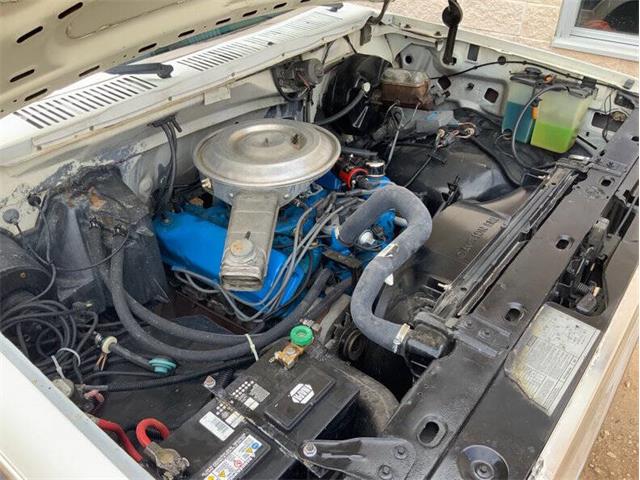 1980 Ford F150 (CC-1864591) for sale in Fredericksburg, Texas